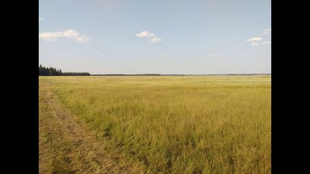 Jarkhan
