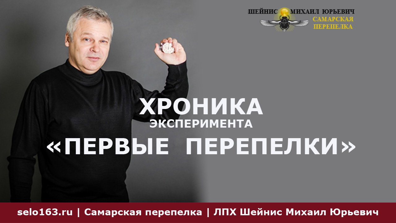 Хроника эксперимента Первые перепелки