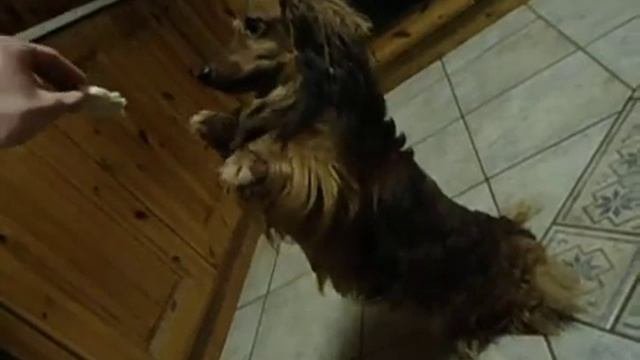 Epic begging