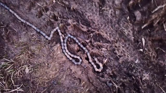 Дальше пешком