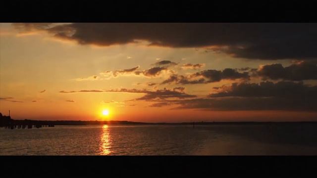Пчела на Марсе -  "Каждый день"