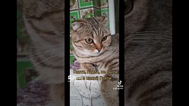 нас и здесь неплохо кормят😹 Лунтик ❤😻