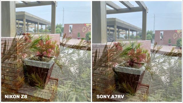 Nikon Z8 VS Sony A7RV | Camera Test | NIKON Z8