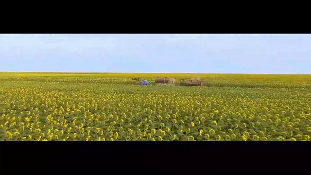 Участница челенджа к Дню госслужащего Баженова Индира Ерденовна, главный специалист УГУ ДАДГС по СК