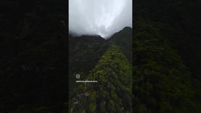 Любители героических поступков. ✨✨⚡💫