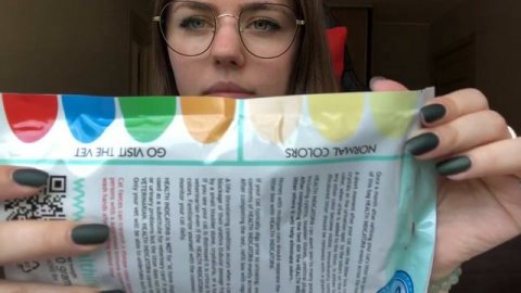 КАК ПРОВЕРИТЬ БОЛЕЕТ ЛИ КОТ, В ДОМАШНИХ УСЛОВИЯХ?