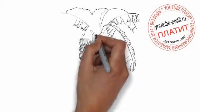 Как нарисовать дерево пальму с бананами