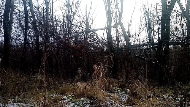 Один на реке. Собрал мусор и сжёг. Поклевки радуют.