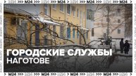 Городские службы переведены в режим повышенной готовности из-за сильного ветра - Москва 24