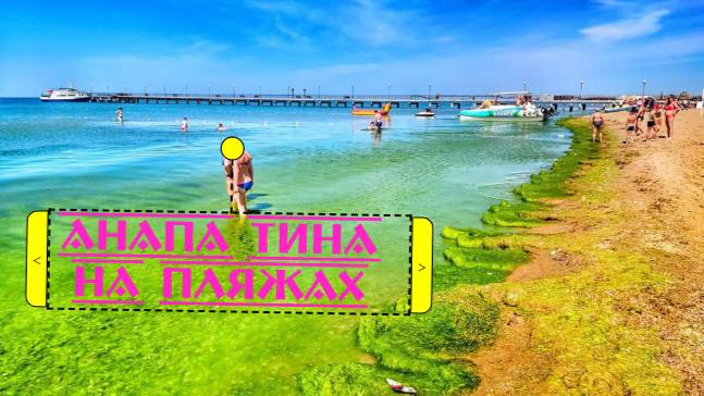 Анапа центральный пляж бывает и такой. Море как болото цветет, тина