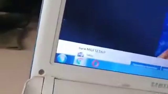 беспроводная мышка на нетбук 2