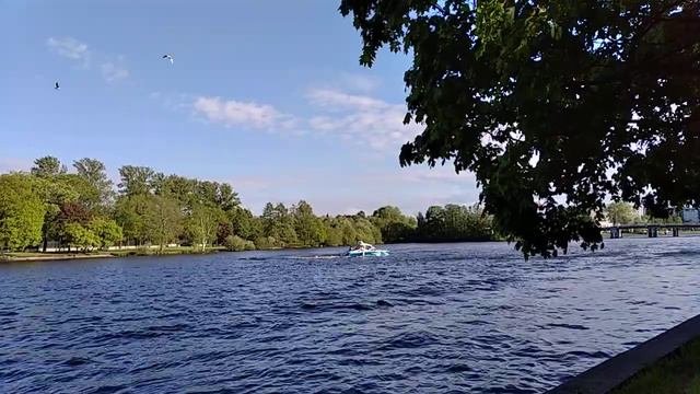 Елагин остров Санкт-Петербург