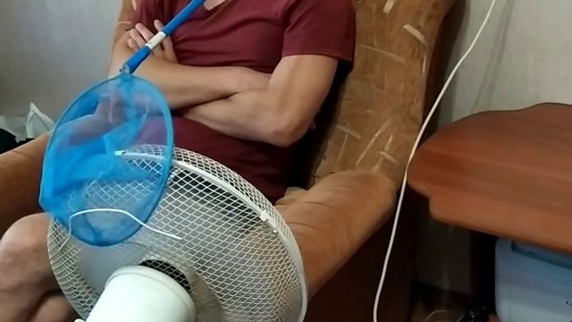 лучше летом отдыхать, чем зимой работать