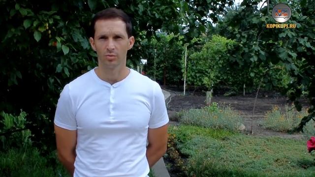Отзыв о программе «КОПИКУПИ». Евгений Коваль,  г. Гулькевичи