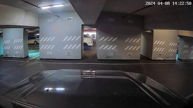Забираем Катю и Веру Павловну домой
