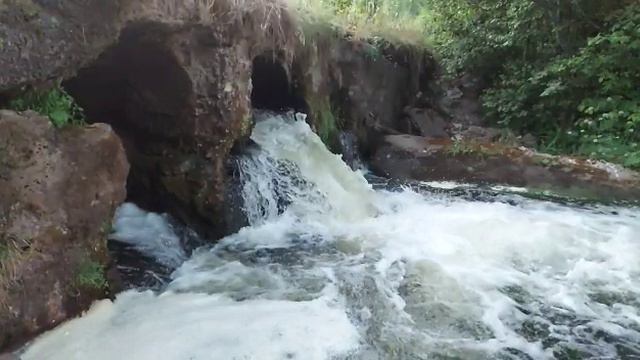 Полёт стрекоз над водопадиком