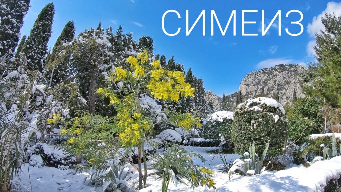 Что с погодой. Весенний СНЕГОПАД в Крыму. СИМЕИЗ в снегу: Кипарисовая аллея, парк, скала Дива, пляжи