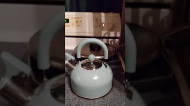 Mainstays Teal 1.8 Liter Stainless Steel Whistling Tea Kettle