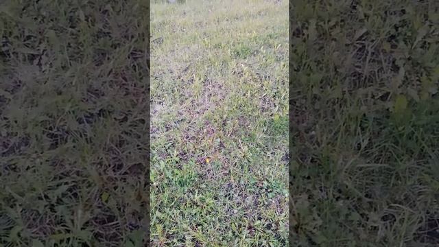 Школа Знания для жизни. Целостность, молитва, общение со Вселенной, осознанность в новом мире