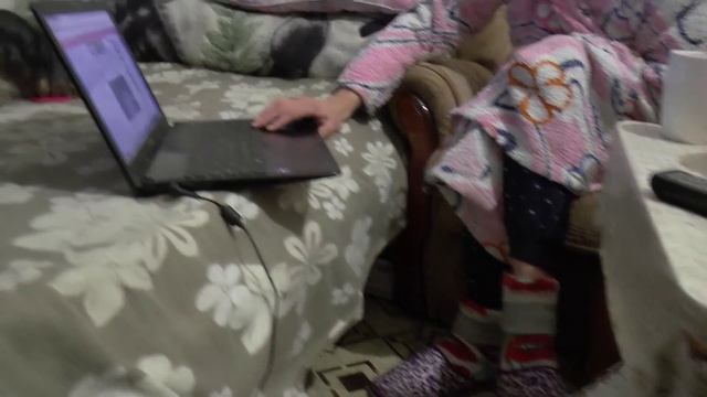 Котенок нападает на самую маленькую собаку в России. Жесть! Ржачь! Смотреть всем!!!