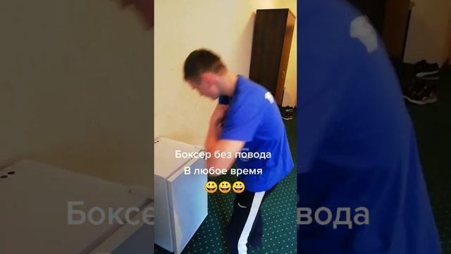 Боксер без повода в любое время