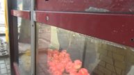 ПРОДАВЩИЦА ЦВЕТОВ ХОЧЕТ СЛОМАТЬ НАМ КАМЕРУ!!!!!!!!!!
