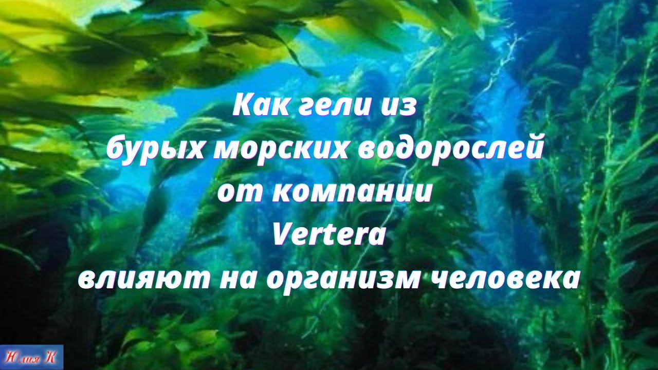 Как гели из бурых морских водорослей от компании Вертера влияют на организм человека