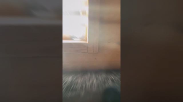 Дым