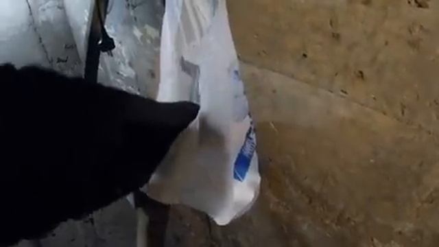 В ДОМЕ ЕСТЬ ВОДА И МАШИНКА АВТОМАТ