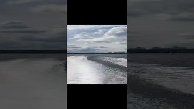 VID-20230722-WA0025.mp4