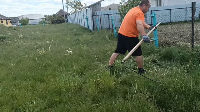 Кролики 23 ...