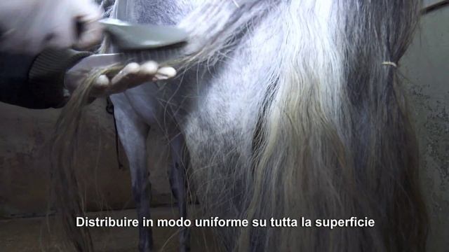 KERATIN Horse