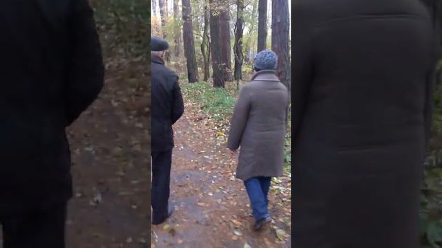 жирная белка кушает орешки 😀
