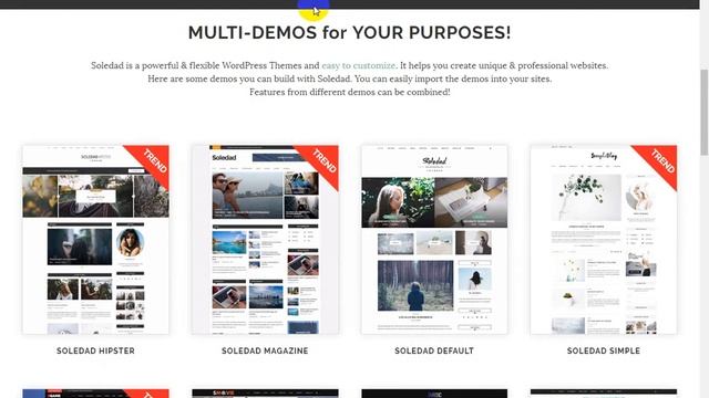 Soledad   Multi Concept Blog Magazine WP Theme