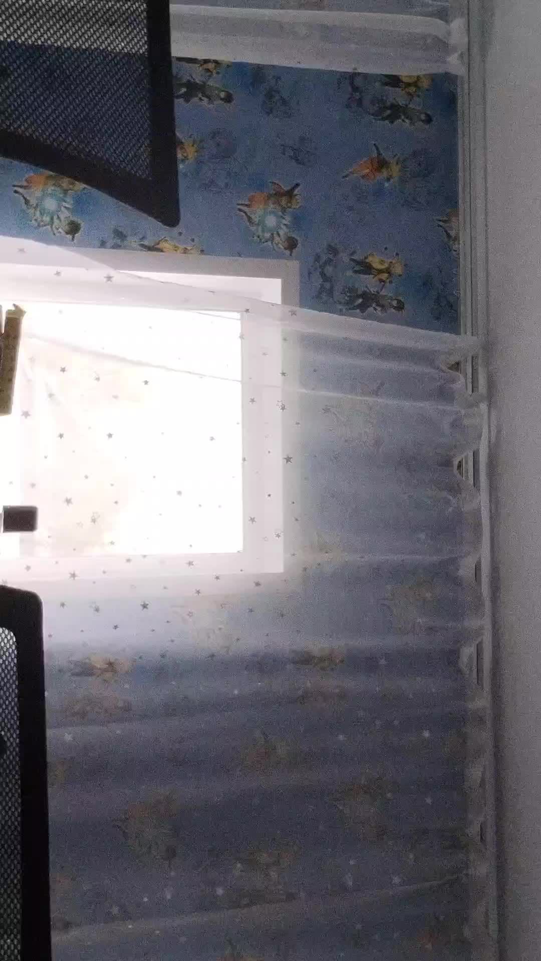 будяки