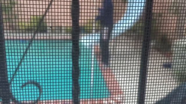 Без названия или сборная солянка