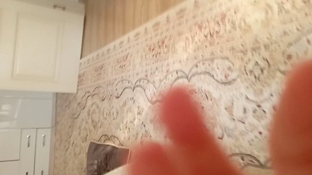 VID_20240815_190821.mp4