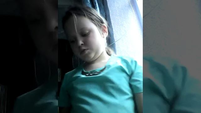 Как сделать лизу