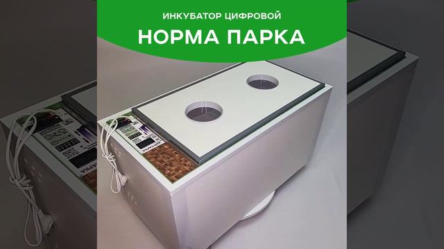 Норма Парка1