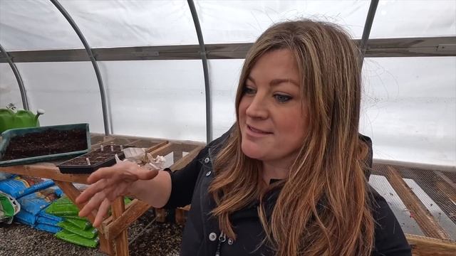 Planting Flower Seeds: Echinacea purpurea & SO Many Geraniums (370!)! ??? // Garden Answer