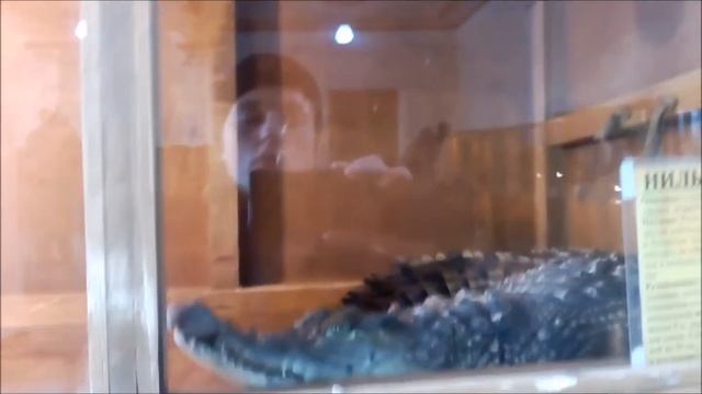 ВЛОГ 2. Выставка обезьян и рептилий (+бонус)