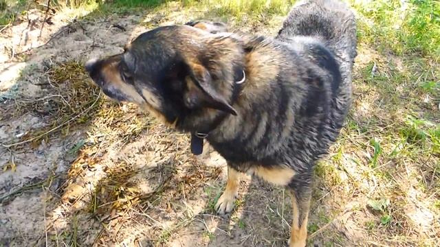 VLOG УДАЧНЫЙ КАДР