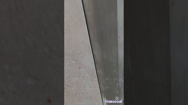 Начало облицовки стен санузла керамогранитом.
