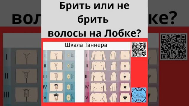 Брить или не брить волосы на Лобке?