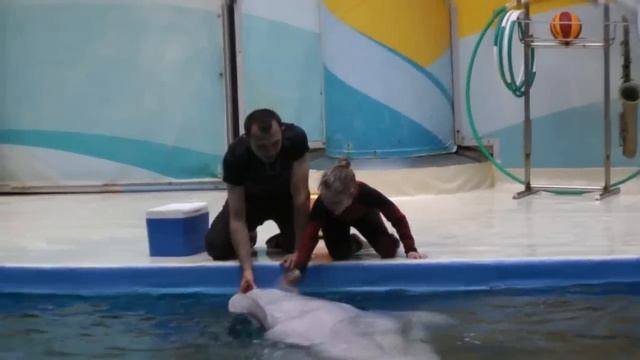 Girl riding beluga whale