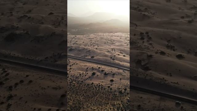 Красоты пустыни
