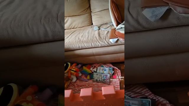 1000003650.mp4