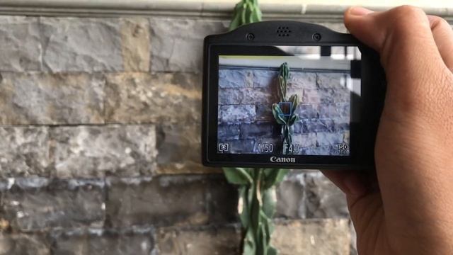Test Foto Dan Video Kamera CANON Poweeshoot SX430 IS WORTH IT di Tahun 2022⁉️