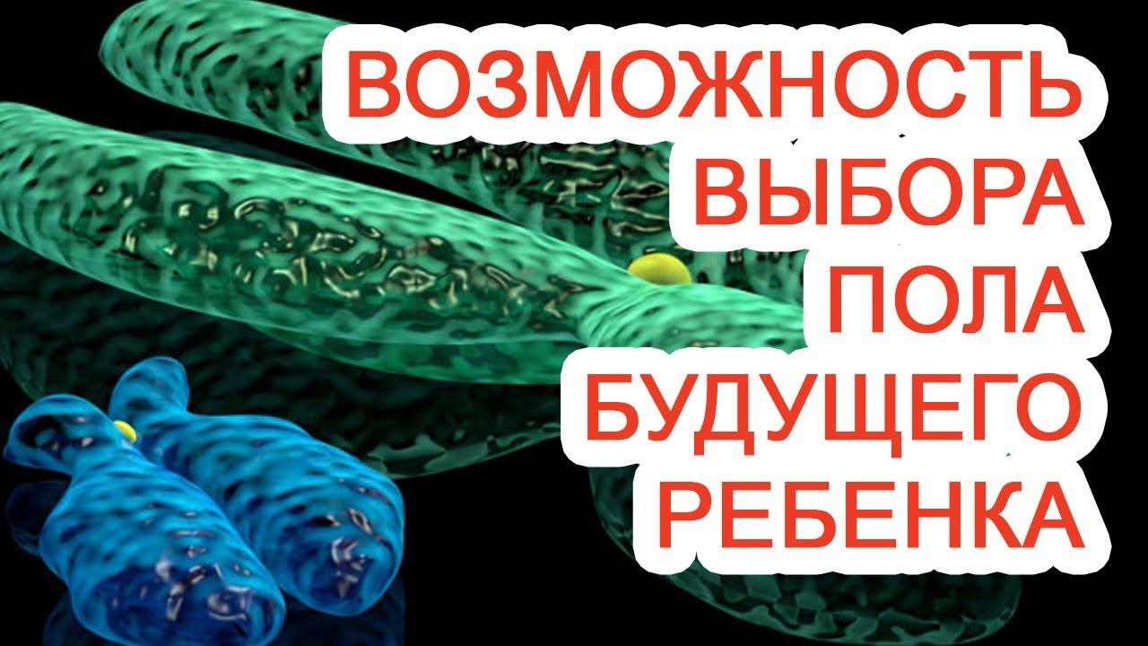 Возможность выбора пола будущего ребенка