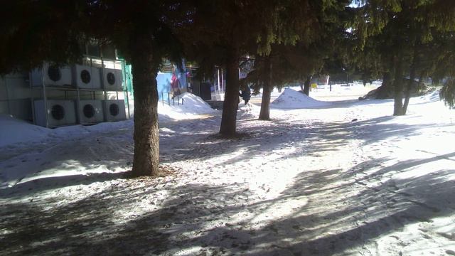 29 февраля Сизифов день...У нас уже месяц?..